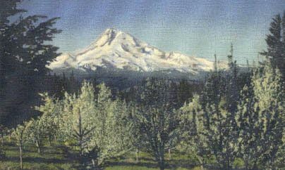 Mt Hood, Oregon Képeslap