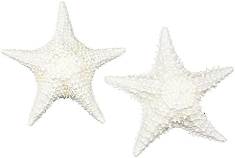 NEKÜNK Shell, 2 Darab, Fehér Bahama tengeri Csillag, 6 7 inch Méret