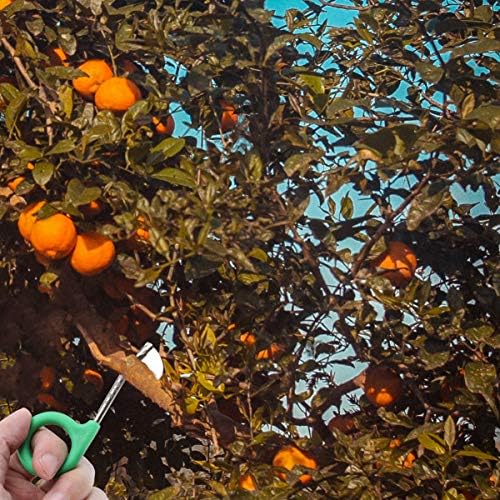 YARNOW 4db Kés Vágó Barack Olló Peeling a Gyümölcs Metszés Licsi Oltása Nyírás Hámozó: Kertészeti Sztriptíz Fa Ugat Szőlő